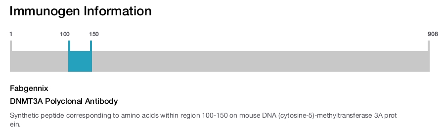 DNMT3A Polyclonal Antibody