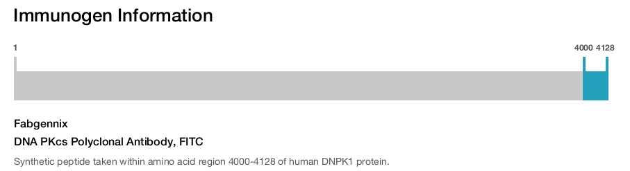 DNA PKcs Polyclonal Antibody, FITC
