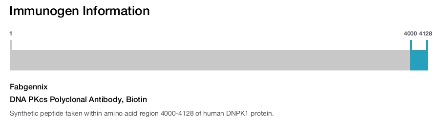 DNA PKcs Polyclonal Antibody, Biotin