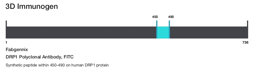 DRP1 Polyclonal Antibody, FITC