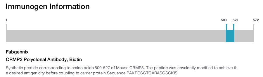 CRMP3 Polyclonal Antibody, Biotin
