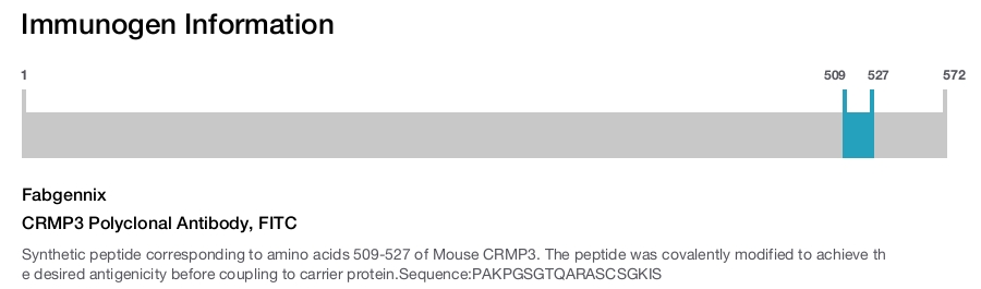 CRMP3 Polyclonal Antibody, FITC
