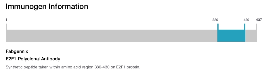 E2F1 Polyclonal Antibody