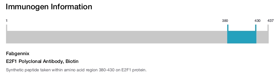 E2F1 Polyclonal Antibody, Biotin