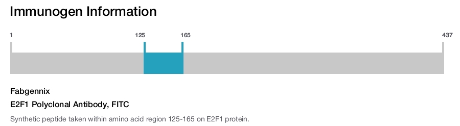 E2F1 Polyclonal Antibody, FITC