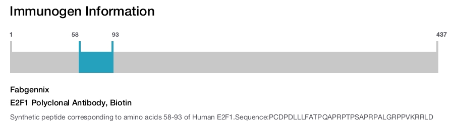 E2F1 Polyclonal Antibody, Biotin