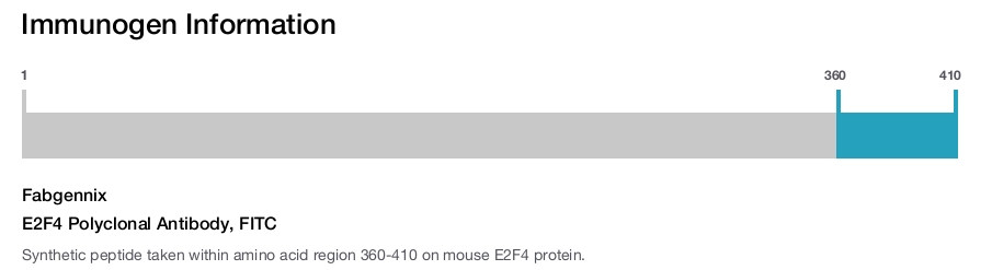 E2F4 Polyclonal Antibody, FITC