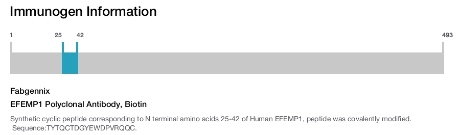 EFEMP1 Polyclonal Antibody, Biotin