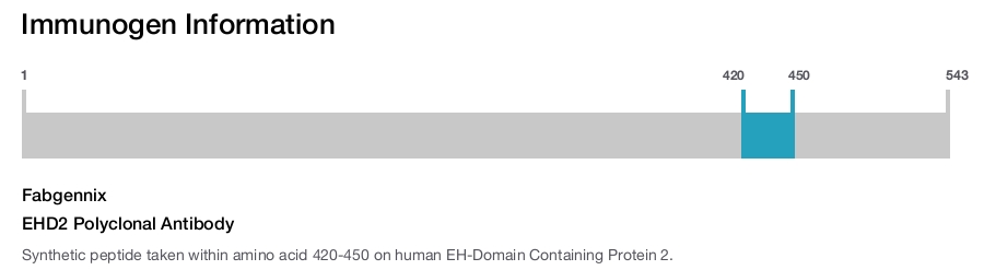EHD2 Polyclonal Antibody