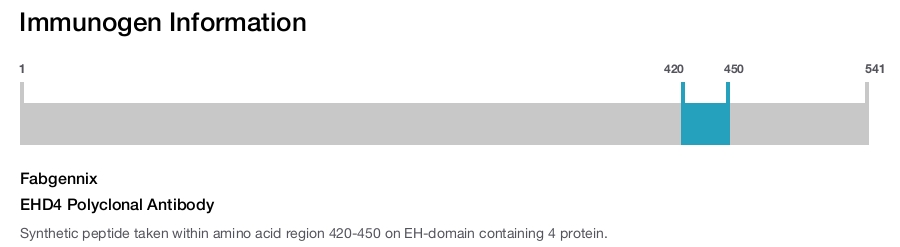EHD4 Polyclonal Antibody