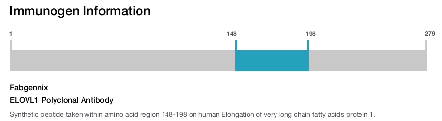 ELOVL1 Polyclonal Antibody