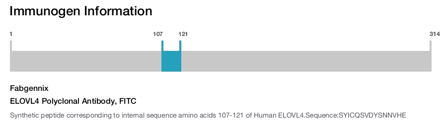 ELOVL4 Polyclonal Antibody, FITC