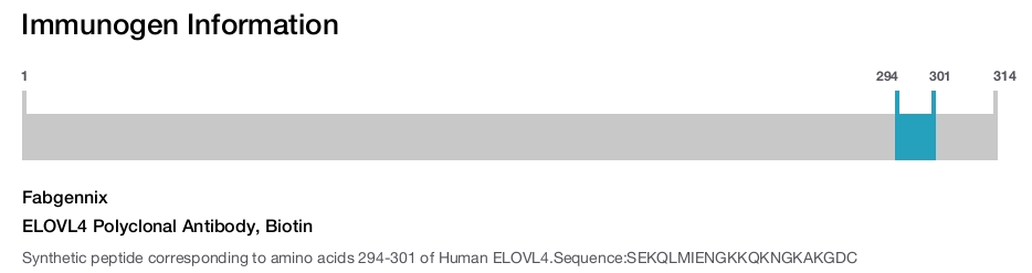 ELOVL4 Polyclonal Antibody, Biotin