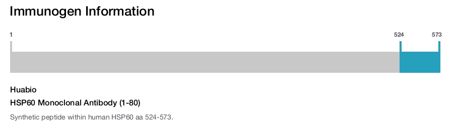 HSP60 Monoclonal Antibody (1-80)