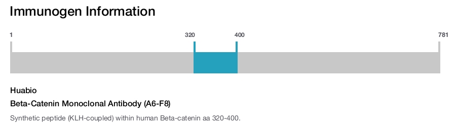 Beta-Catenin Monoclonal Antibody (A6-F8)