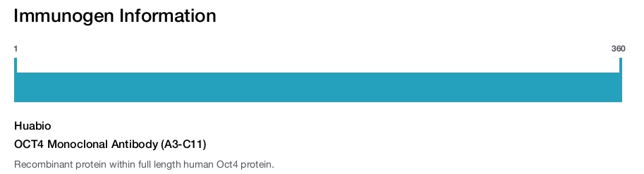OCT4 Monoclonal Antibody (A3-C11)