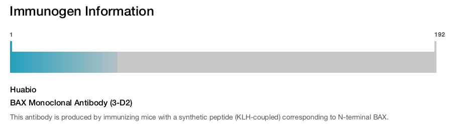 BAX Monoclonal Antibody (3-D2)