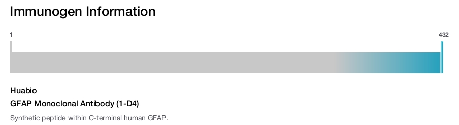 GFAP Monoclonal Antibody (1-D4)
