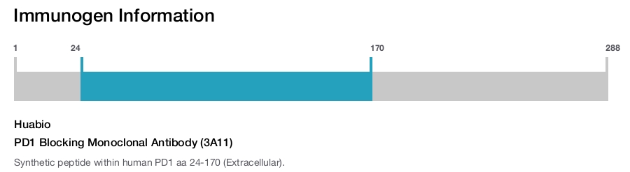 PD1 Blocking Monoclonal Antibody (3A11)