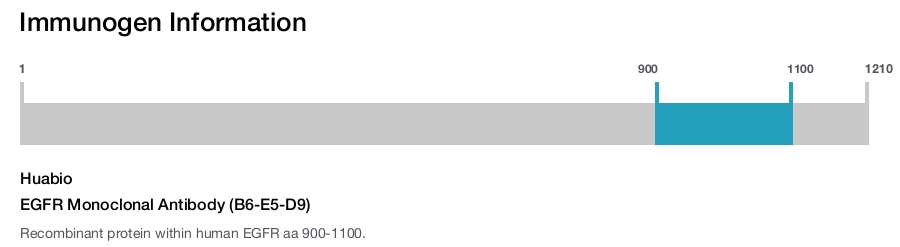 EGFR Monoclonal Antibody (B6-E5-D9)