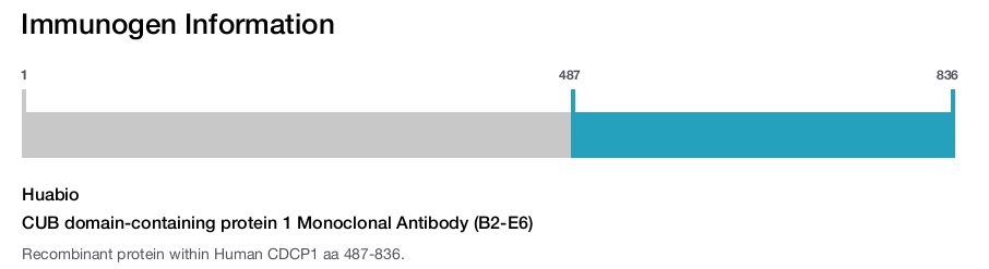 CUB domain-containing protein 1 Monoclonal Antibody (B2-E6)