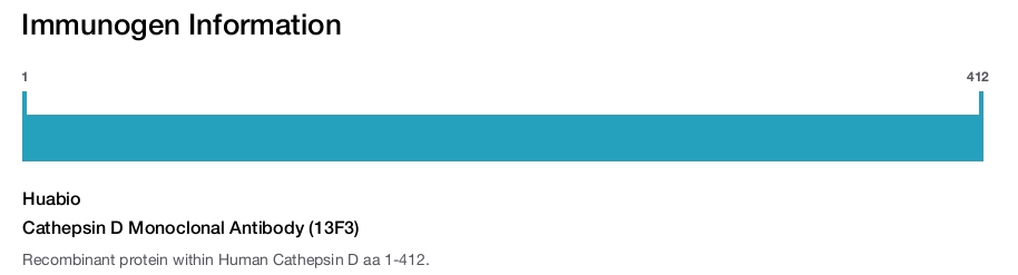 Cathepsin D Monoclonal Antibody (13F3)