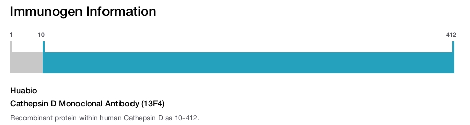 Cathepsin D Monoclonal Antibody (13F4)