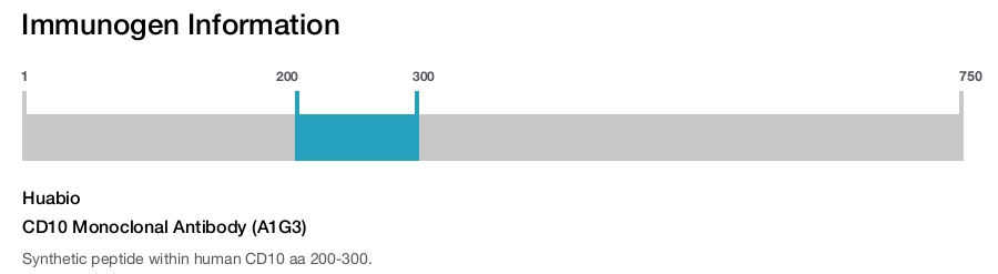 CD10 Monoclonal Antibody (A1G3)