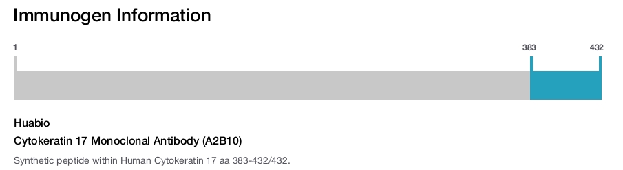 Cytokeratin 17 Monoclonal Antibody (A2B10)