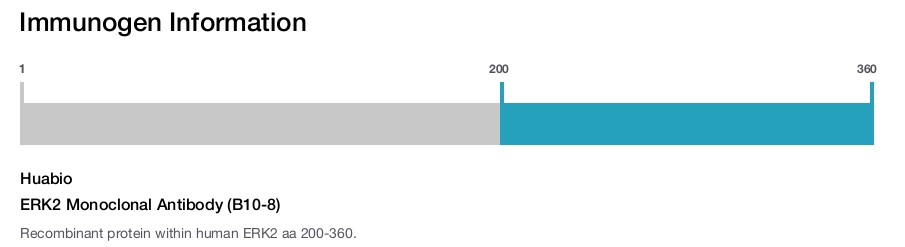 ERK2 Monoclonal Antibody (B10-8)