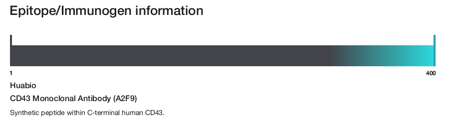 CD43 Monoclonal Antibody (A2F9)