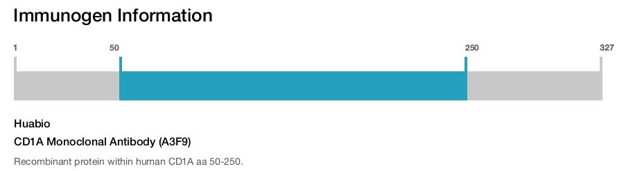 CD1A Monoclonal Antibody (A3F9)