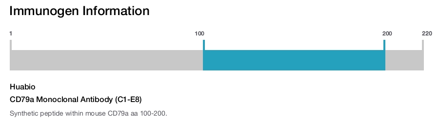 CD79a Monoclonal Antibody (C1-E8)