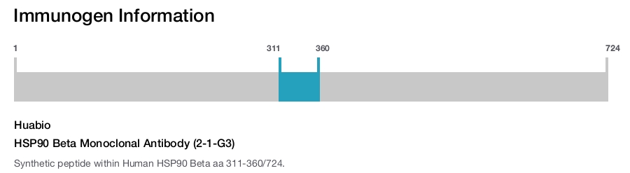 HSP90 Beta Monoclonal Antibody (2-1-G3)