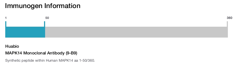 MAPK14 Monoclonal Antibody (9-B9)