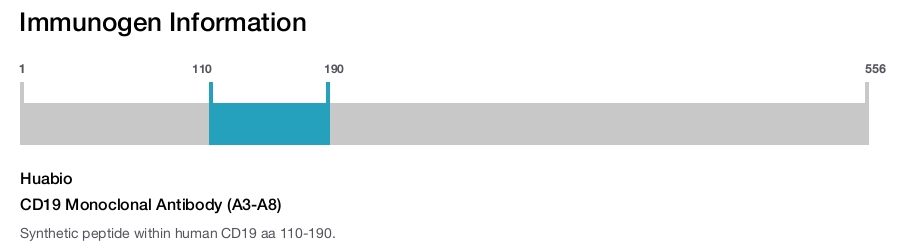 CD19 Monoclonal Antibody (A3-A8)