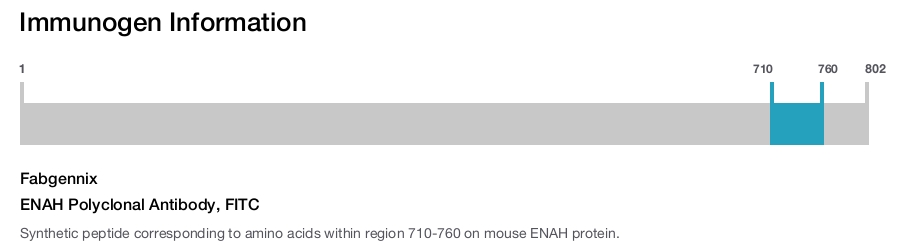ENAH Polyclonal Antibody, FITC