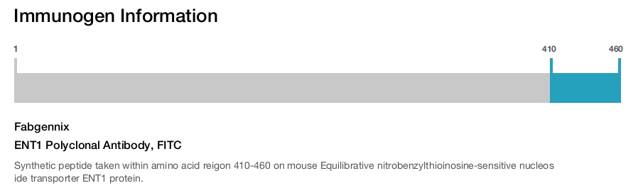 ENT1 Polyclonal Antibody, FITC