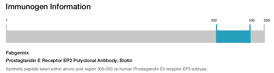 Prostaglandin E Receptor EP2 Polyclonal Antibody, Biotin