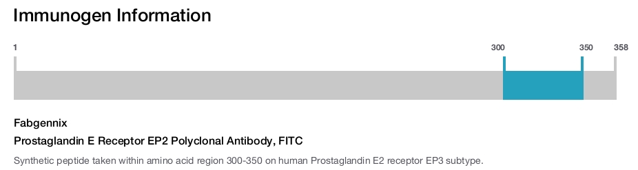 Prostaglandin E Receptor EP2 Polyclonal Antibody, FITC