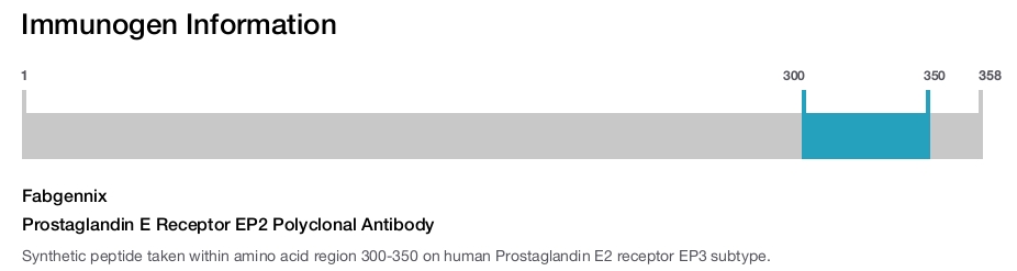 Prostaglandin E Receptor EP2 Polyclonal Antibody