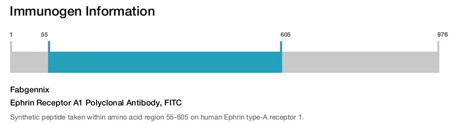 Ephrin Receptor A1 Polyclonal Antibody, FITC