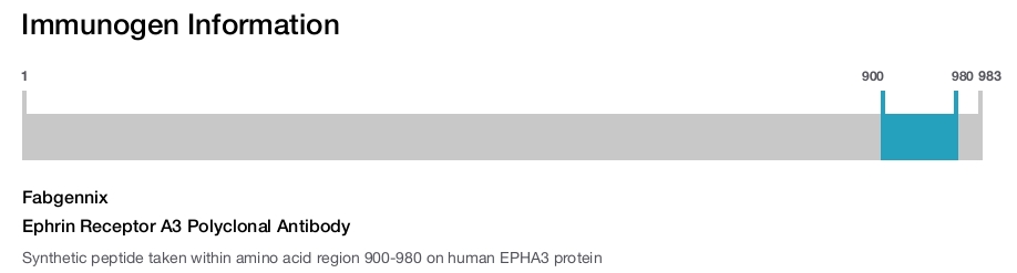 Ephrin Receptor A3 Polyclonal Antibody