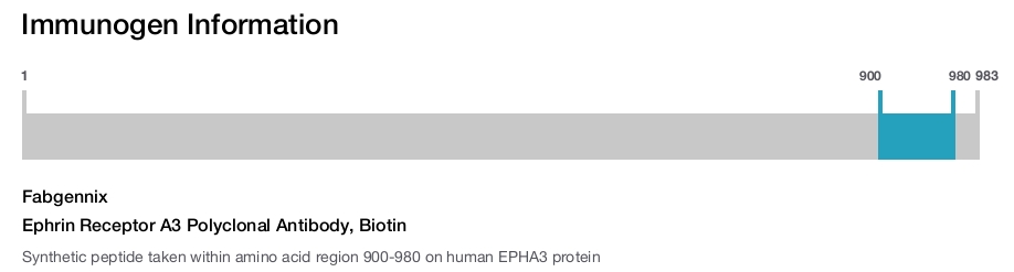 Ephrin Receptor A3 Polyclonal Antibody, Biotin