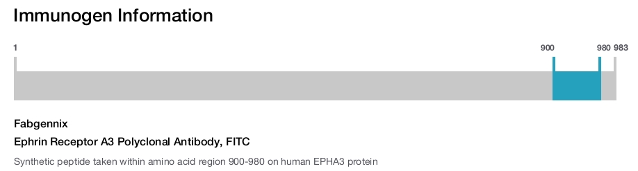 Ephrin Receptor A3 Polyclonal Antibody, FITC