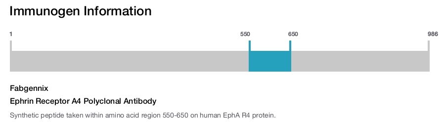 Ephrin Receptor A4 Polyclonal Antibody