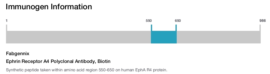Ephrin Receptor A4 Polyclonal Antibody, Biotin