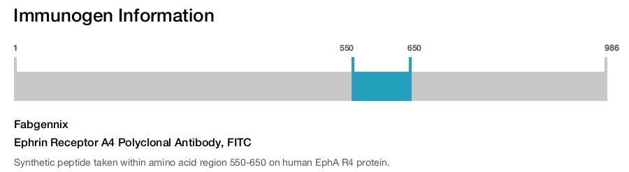 Ephrin Receptor A4 Polyclonal Antibody, FITC