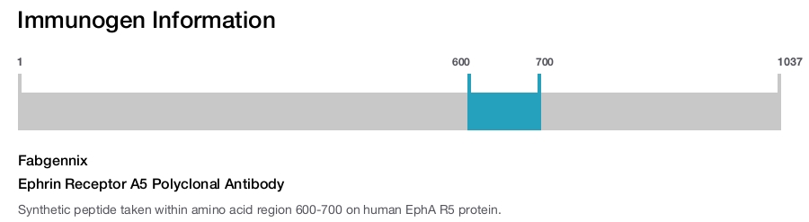 Ephrin Receptor A5 Polyclonal Antibody