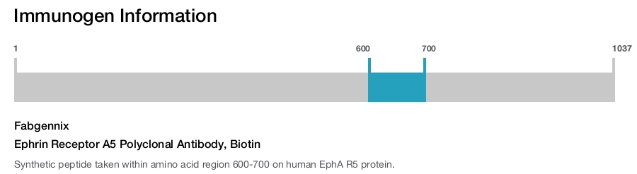 Ephrin Receptor A5 Polyclonal Antibody, Biotin